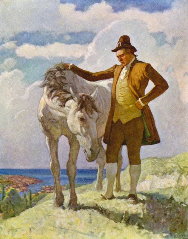 Sir Nat und das Pferd von Newell Convers Wyeth