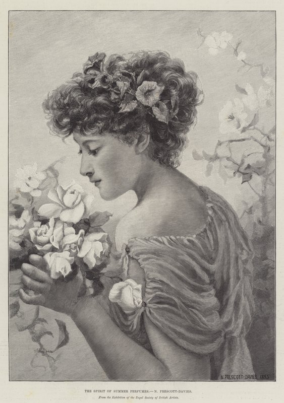 Der Geist des Sommerdufts von Norman Prescott Davies