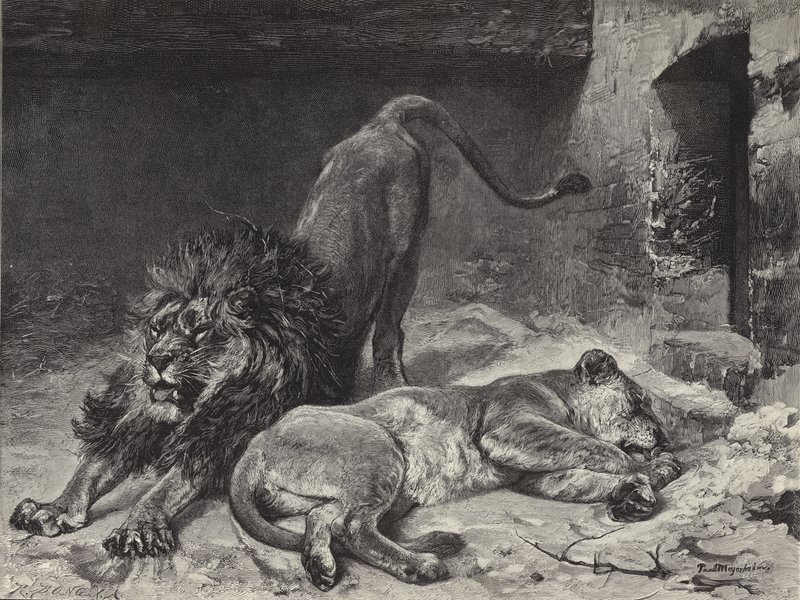 Das Erwachen des Löwen von Paul Friedrich Meyerheim
