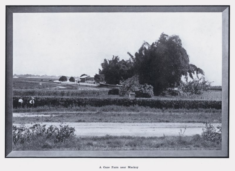 Eine Zuckerrohrfarm in der Nähe von Mackay von Photographer Australian