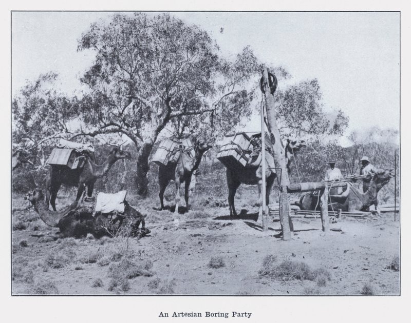 Eine artesische Bohrgruppe von Photographer Australian