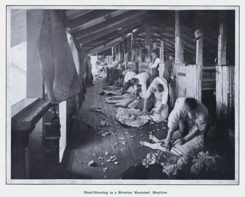 Handschur in einer Woolshed in Riverina, Merribee (s/w Foto) von Photographer Australian