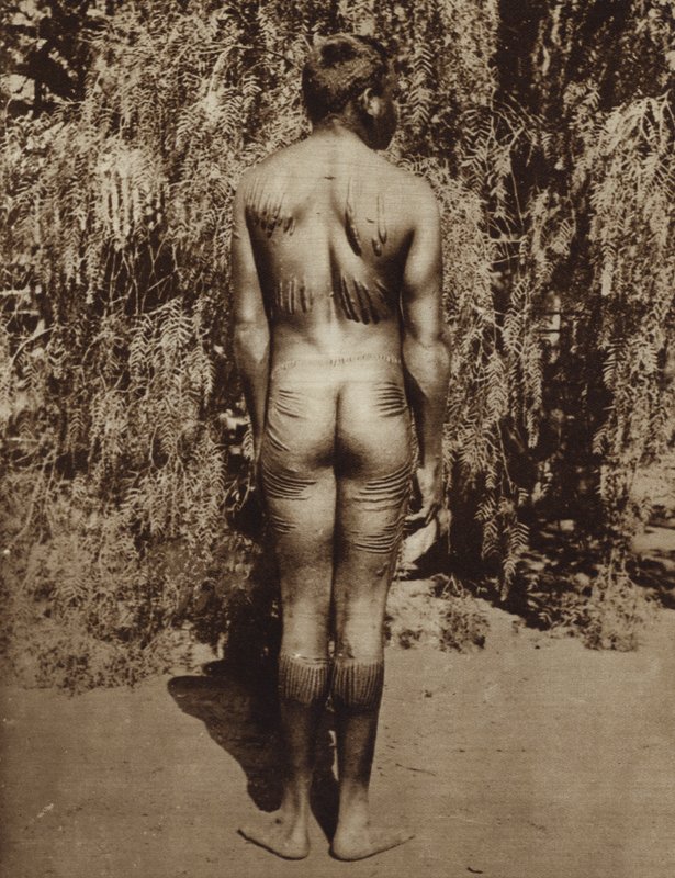 Indigene australische Körperdekoration von Photographer Australian