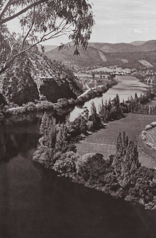 River Derwent in der Nähe von New Norfolk, Tasmanien von Photographer Australian