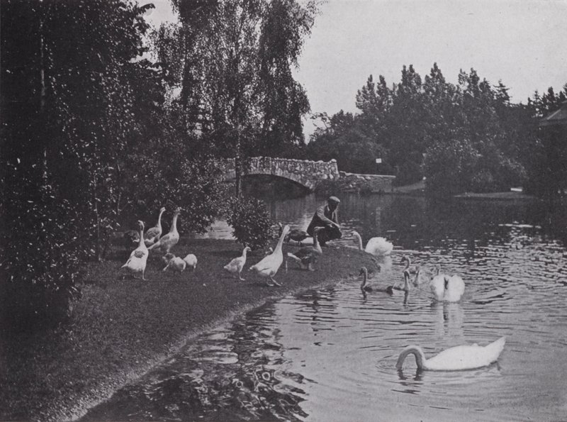 See, Beacon Hill Park, Victoria, British Columbia von Photographer Canadian