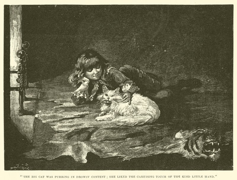 Illustration für Der kleine Lord Fauntleroy von Reginald Bathurst Birch
