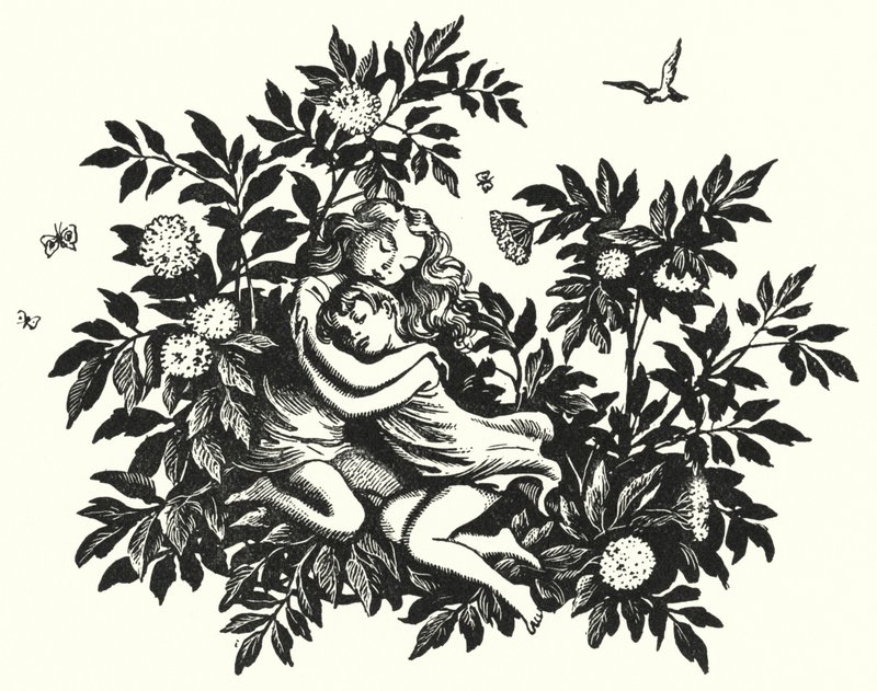 Hans Christian Andersen: Die Holunderbaum-Mutter (Lithografie) von Rex (after) Whistler