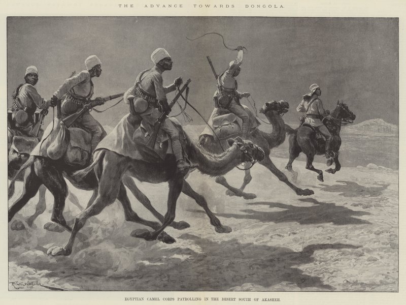 Der Vormarsch auf Dongola, ägyptisches Kamelkorps patrouilliert in der Wüste südlich von Akasheh von Richard Caton Woodville junior