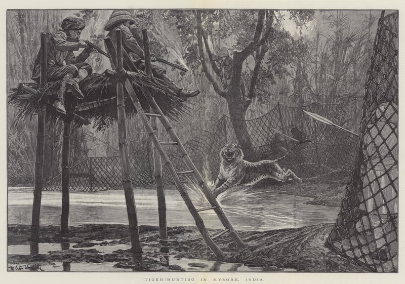 Tigerjagd in Mysore, Indien von Richard Caton Woodville junior