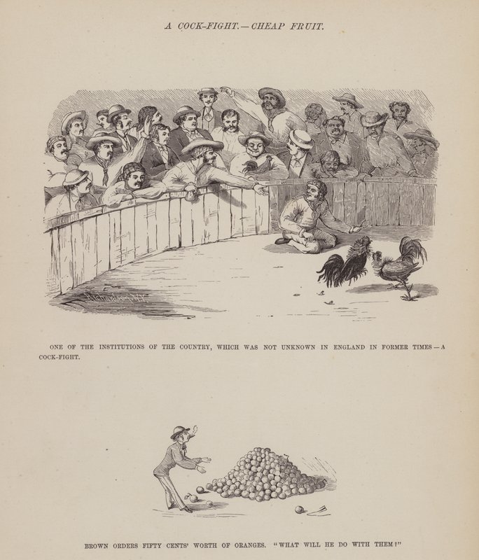Seite aus Die amerikanische Tour von Messrs Brown, Jones und Robinson von Richard Doyle