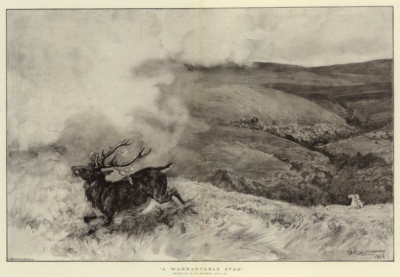 Ein berechtigter Hirsch von Robert Walker Macbeth