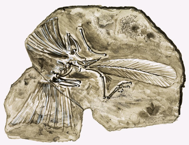 In den Tagen der Dinosaurier: Geheimnis im Stein von Roger Payne