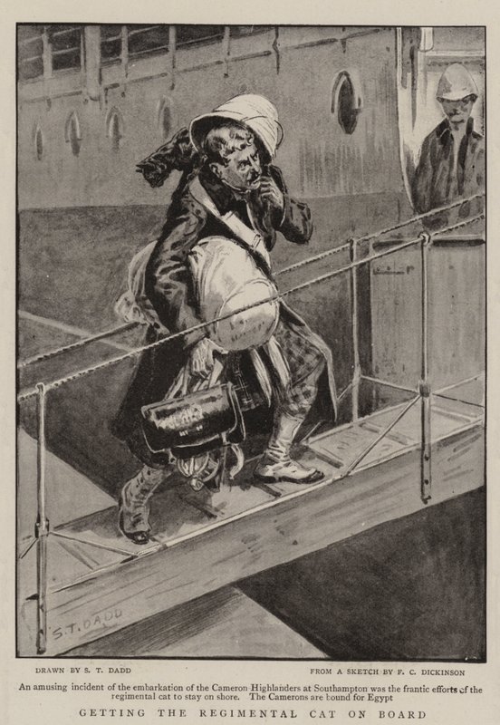 Die Regimentskatze an Bord bringen von S.T. Dadd