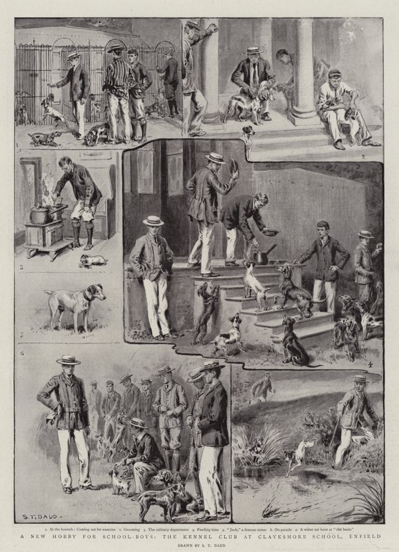 Ein neues Hobby für Schuljungen, der Kennel Club an der Clayesmore School, Enfield von S.T. Dadd