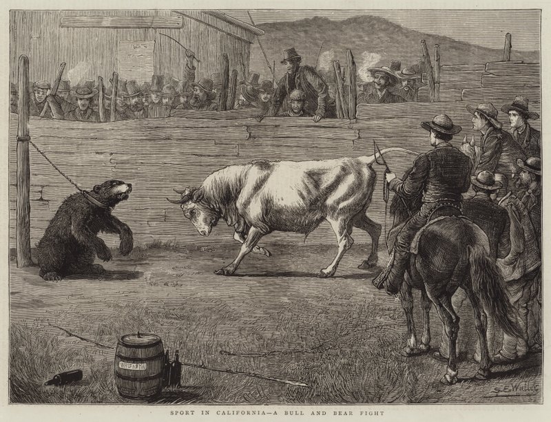 Sport in Kalifornien, ein Stier- und Bärenkampf von Samuel Edmund Waller