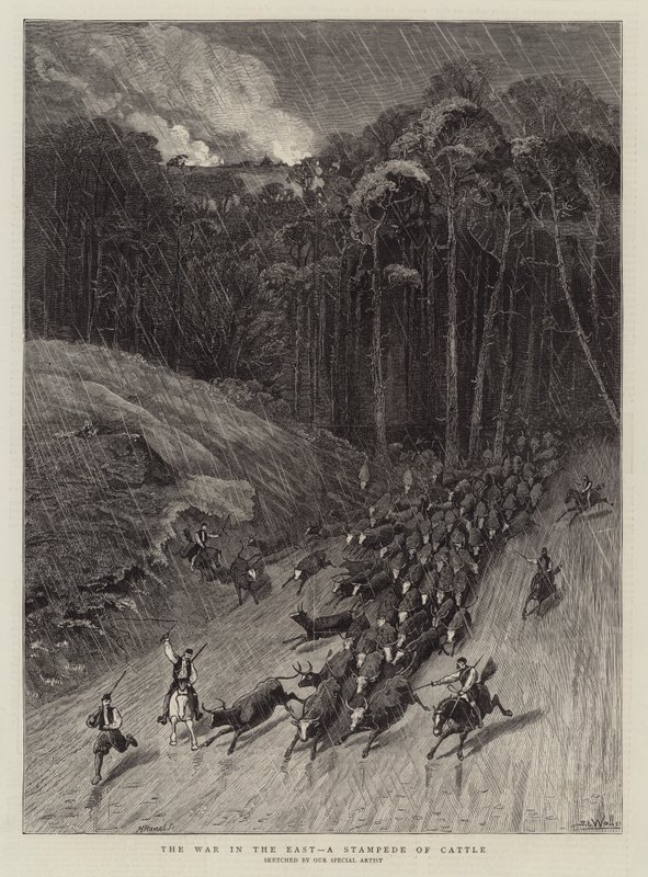 Der Krieg im Osten, eine Viehstampede von Samuel Edmund Waller