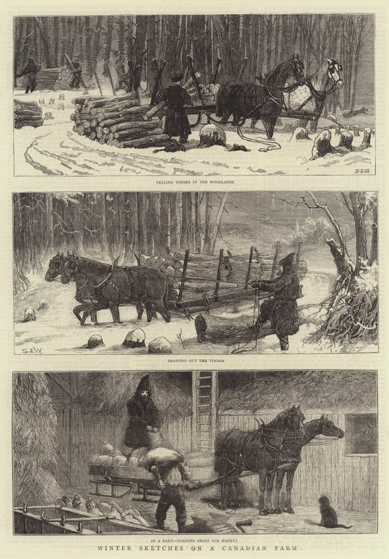 Winter-Skizzen auf einer kanadischen Farm von Samuel Edmund Waller