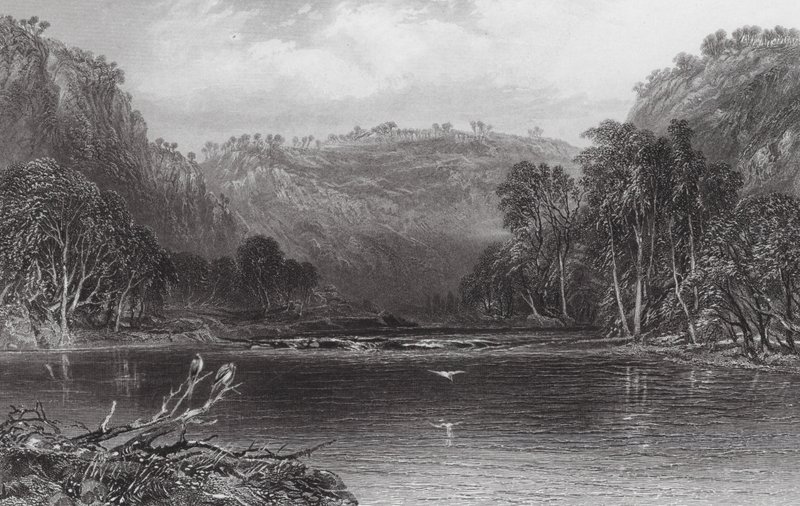 Australien: Am Cow Pasture River von Samuel (after) Prout