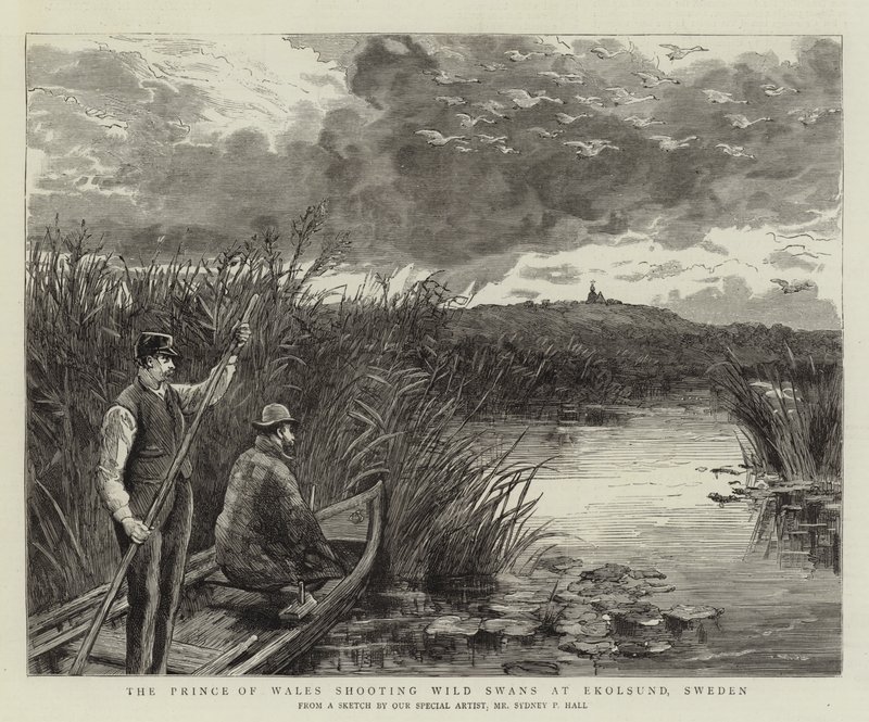 Der Prinz von Wales schießt Wildschwäne in Ekolsund, Schweden von Sydney Prior Hall