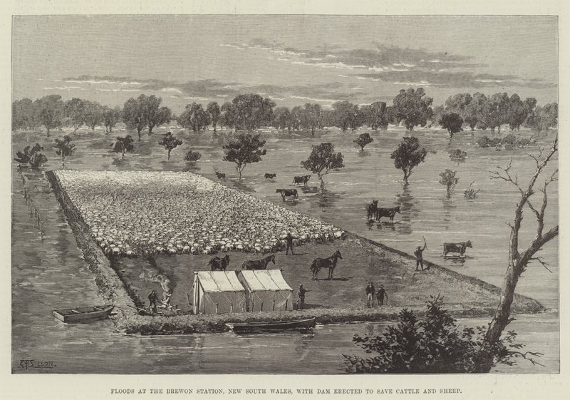 Überschwemmungen an der Brewon Station, New South Wales, mit errichtetem Damm zum Schutz von Rindern und Schafen von Thomas Harrington Wilson
