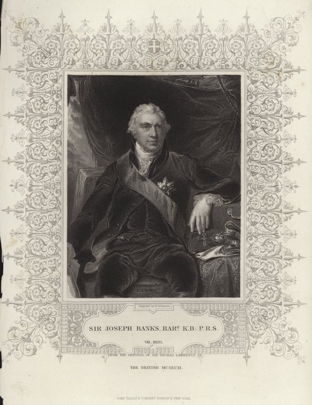 Sir Joseph Banks von Thomas Lawrence