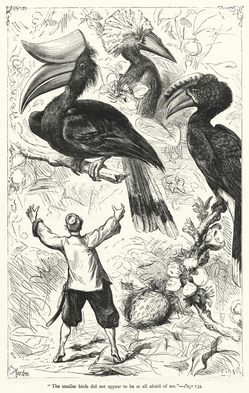 Illustration zu Gullivers Reisen von Jonathan Swift von Thomas Morten