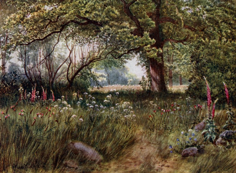 Kew Gardens: In den Queen