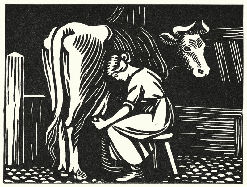 Illustration für Tess von den d
