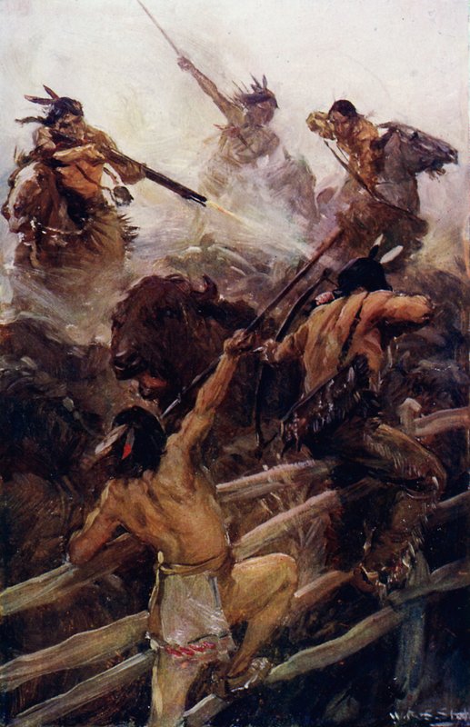 Nahkampf mit dem Büffel von W.R.S. (after) Stott