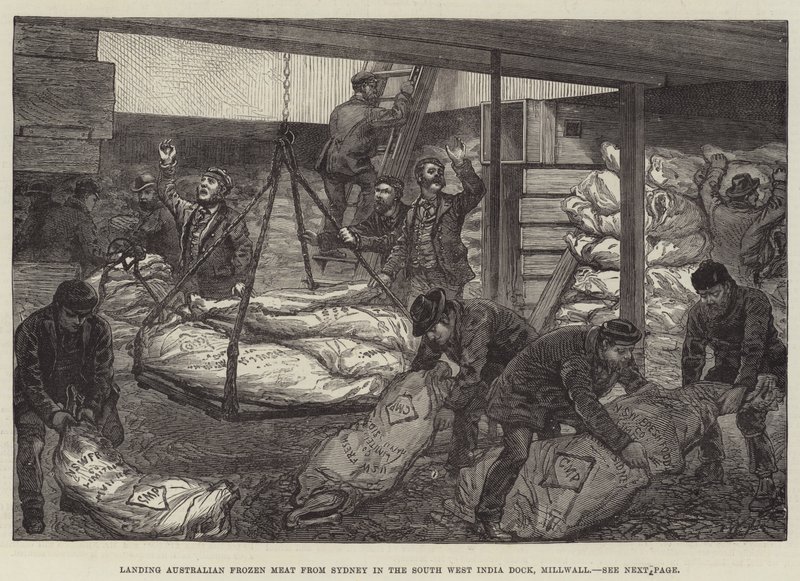 Entladen von australischem Tiefkühlfleisch aus Sydney im Südwest-Indien-Dock, Millwall von Walter Paget