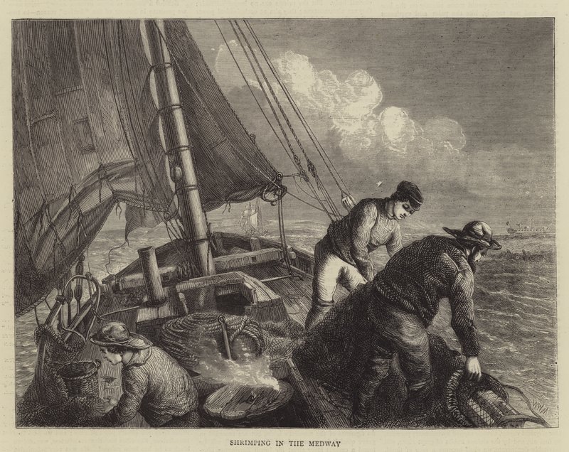 Garnelenfischen in der Medway von Walter William May