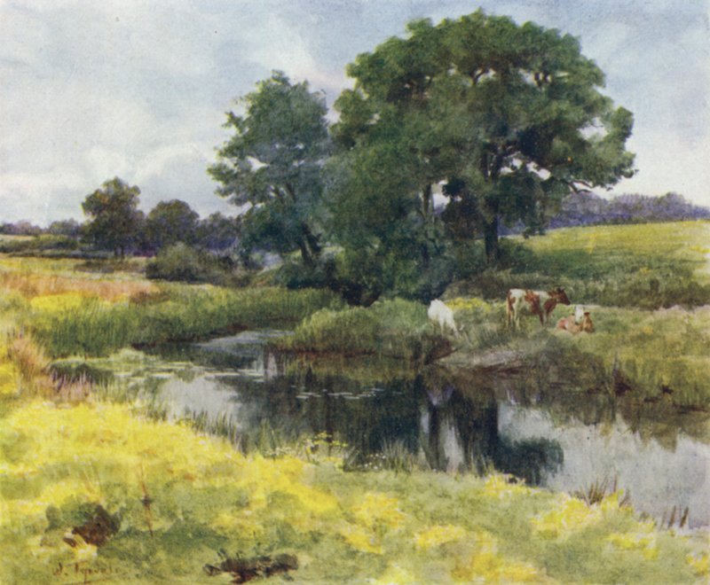 Der New Forest: Am Lymington Fluss von Walter Frederick Roofe Tyndale