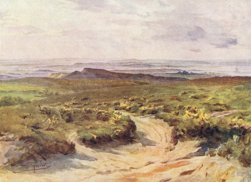 Wessex: Studland Heath, Poole Harbour in der Ferne von Walter Frederick Roofe Tyndale