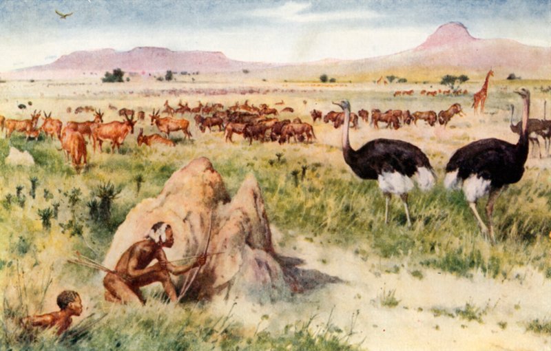 Eine südafrikanische Ebene: Vor dem Kommen des weißen Mannes von Walter Stanley Paget