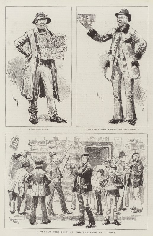 Ein Vogelmarkt am Sonntag im Osten Londons von William Douglas Almond