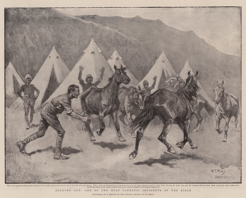 Ausgehungert, eines der traurigsten Ereignisse der Belagerung von William T. Maud