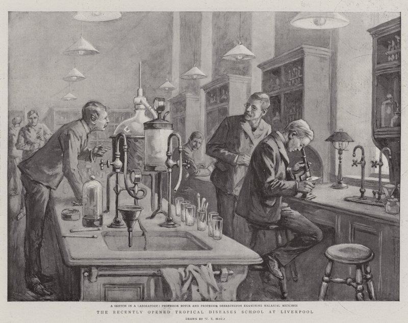 Die kürzlich eröffnete Schule für Tropenkrankheiten in Liverpool von William T. Maud