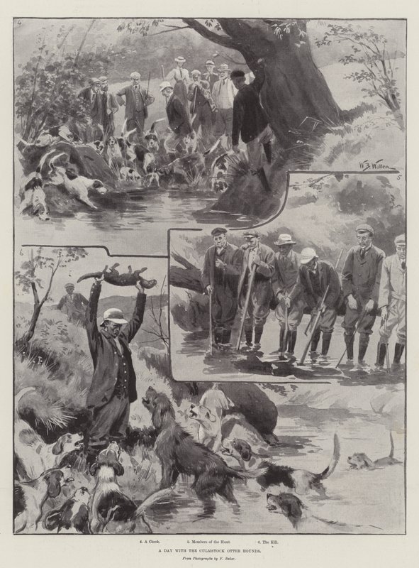 Ein Tag mit den Culmstock Otterhunden von William Barnes Wollen