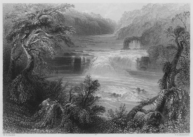 Lachssprung bei Leixlip (Gravur) von William Henry (after) Bartlett