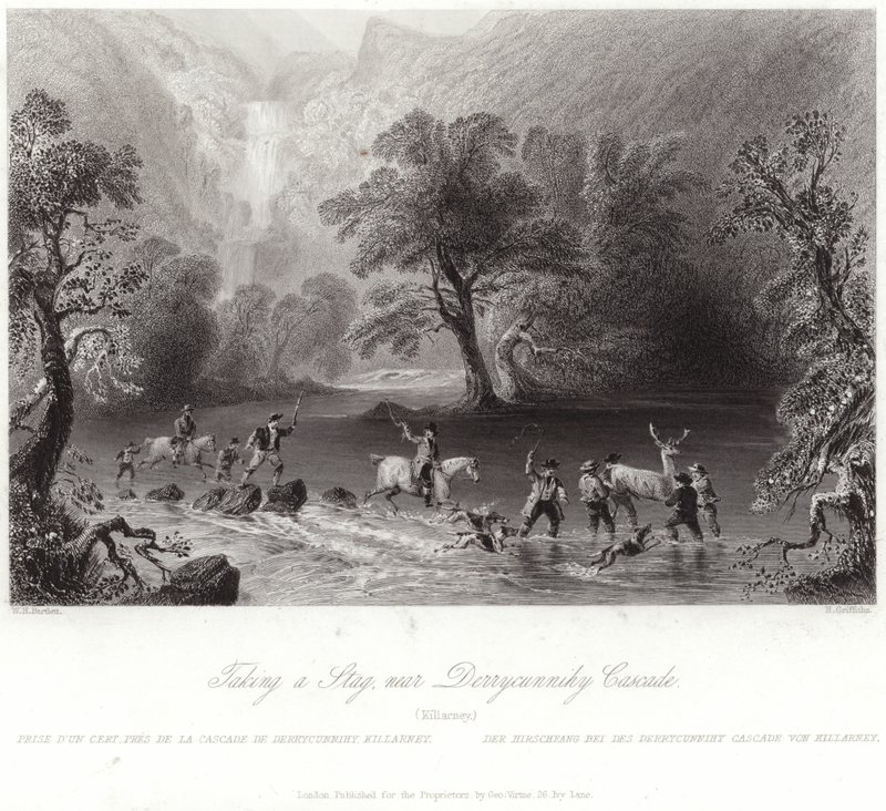 Einen Hirsch in der Nähe von Derrycunnihy erlegen von William Henry Bartlett
