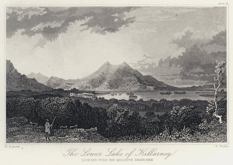Der Untere See von Killarney, Blick über das Mucruss-Anwesen (Gravur) von William Henry Bartlett