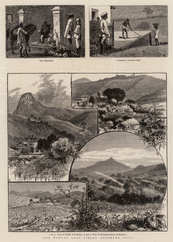 Die Wynaad-Goldfelder, Südindien von William Henry James Boot