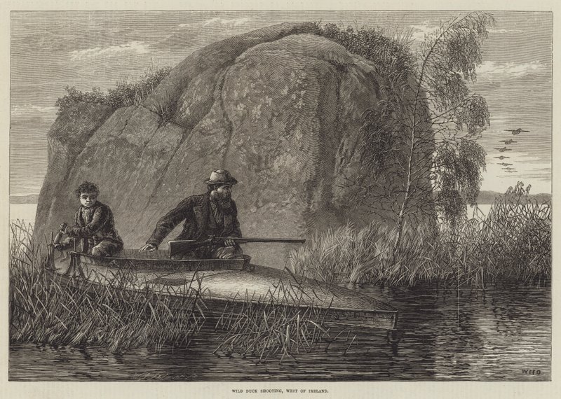 Wildentenjagd, Westirland von William Heysham Overend