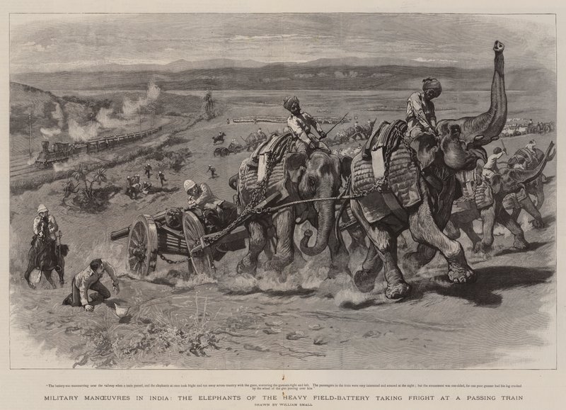 Militärmanöver in Indien, die Elefanten der schweren Feldbatterie erschrecken vor einem vorbeifahrenden Zug von William Small