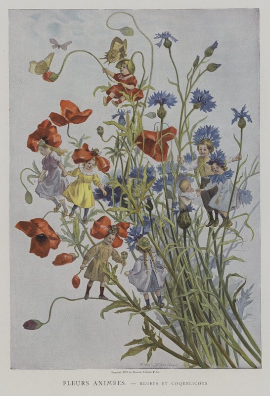 Belebte Blumen: Kornblumen und Mohnblumen von after Firmin Bouisset