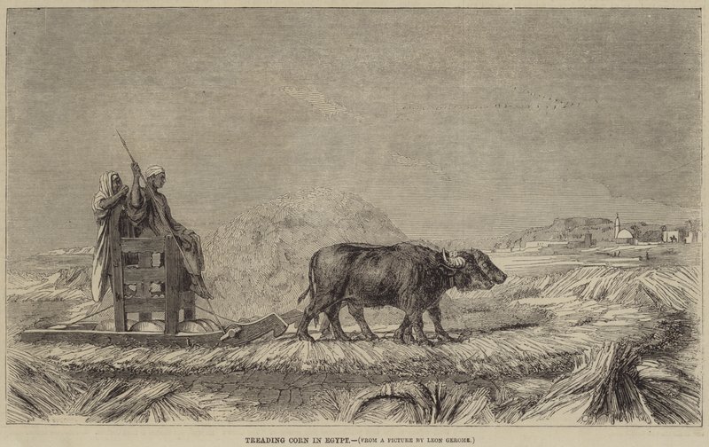 Kornstampfen in Ägypten von after Jean Leon Gerome
