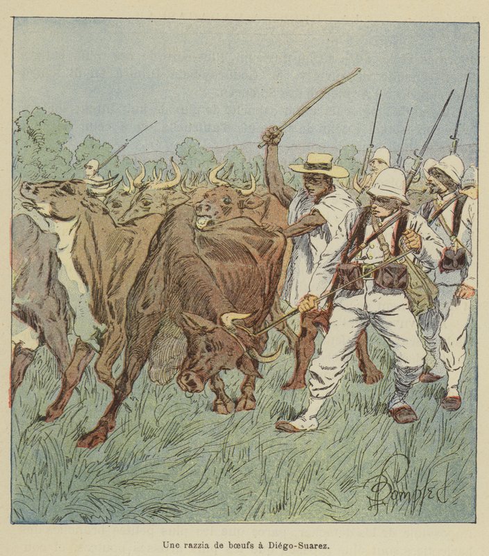 Eine Razzia auf Rinder in Diego-Suarez von after Louis Charles Bombled