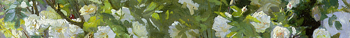 Rosen oder die Frau des Künstlers im Garten in Skagen (Peder Severin Krøyer), Detail: Weiße Rosenblüten