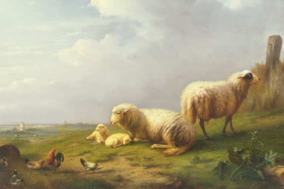 Nutztiere
