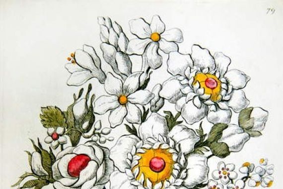 Jean Henri Prosper Pouget
